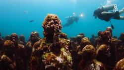 Dive into Art, Cancún's Underwater Museum Instructional Video