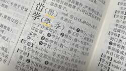 China Language Instructional Video