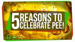 New Channel Alert! Instructional Video