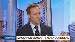 USMCA Is Not a Done Deal, Ex-Canadian Foreign Affairs Minister Says News Clip