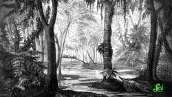 Our Entire Society is Built on a Geological Fluke Instructional Video