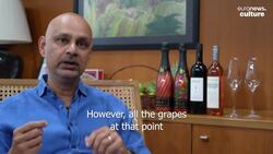 Grape expectations: India's biggest winemaker aims to create new drinking habits News Clip