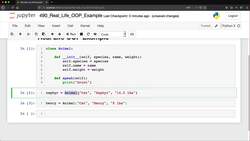 Python for Everybody: The Ultimate Python 3 Bootcamp - Real Life OOP Example Instructional Video