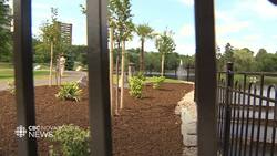 HRM planted 7 palm trees as an experiment. None of them survived News Clip