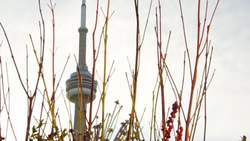 Beyond Innovation: Episode 16 Instructional Video