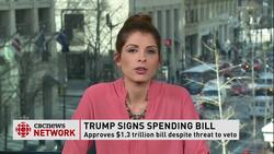 Trump this week News Clip