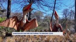 Dinosaur Safari roars back to the Bronx Zoo News Clip