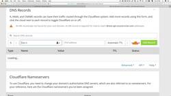 REST APIs with Flask and Python - Setting Your Domain Name System (DNS) Records Instructional Video