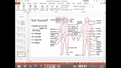 Anatomical Terminology (Week #1) Instructional Video