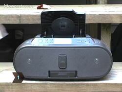 How to Play Animal Antics Musical Chairs Instructional Video