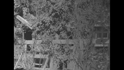 Marshal Tito rallies partisans in Yugoslavia and Eastern Europe News Clip