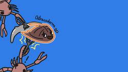 Why Sharks Are Covered In Teeth Instructional Video