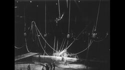 United States, 1950s: Man balancing on pole, pole swings to ground Stock Footage
