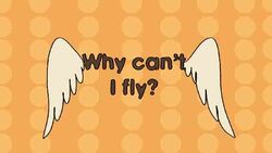 Why can't I fly? Instructional Video