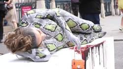 Animal rights campaigners stage protest against exotic skin trade during LFW News Clip