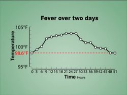 Observations and Data: Analyzing Data Instructional Video