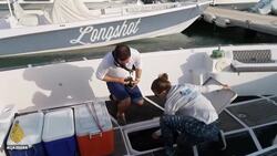 Qatar restoring coral reefs to help save ecosystem News Clip