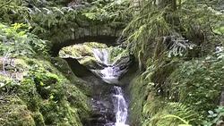 Edelfrauengrab Wasserfälle im Schwarzwald Stock Footage