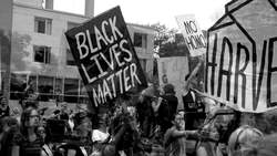 Economics & Beyond Podcast [Rob Johnson] Instructional Video