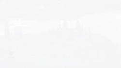 KPMG and the Liberals News Clip