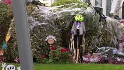 The Cost Of: How much could you spend decorating for Halloween? News Clip