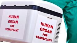 COVID-19 outbreak leads to fewer organ transplants News Clip