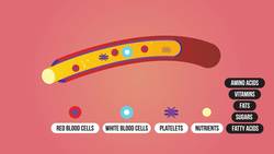Plasma Instructional Video