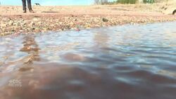 P.E.I. oyster industry bracing for the impact of MSX as another season gets going News Clip