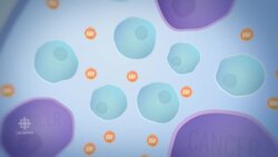 Cuba's Cutting-Edge Pharmaceuticals News Clip