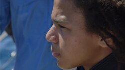 Why Do Marine Biologists Collect Whale Poo? Instructional Video