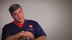 How to Take Care of a Pregnant Snake Instructional Video