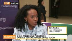 African Swine Fever Spreads in Methodical Ways: Gro Intelligence CEO News Clip