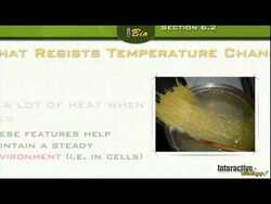 Water and Diffusion - The Chemistry of Life Instructional Video