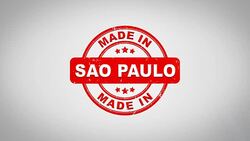 Made In SAO PAULO Signed Stamping Text Wooden Stamp Animation. Red Ink on Clean White Paper Surface Background with Green matte Background Included. Stock Footage