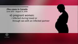 Zika virus still a threat in many of the most popular vacation spots News Clip