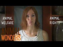 Animal Welfare vs. Animal Rights Instructional Video