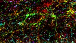 NASA | JWST Feature - Evolution of the Universe Instructional Video