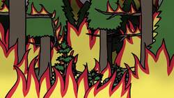 How Fighting Wildfires Makes Them Worse Instructional Video