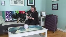 Travel nurse who left job in rural Newfoundland says government can’t have its cake and eat it too News Clip