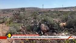 Israel Bulldozes Palestinian Heritage, Razes Centuries-old Olive Trees in West Bank News Clip
