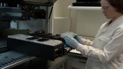 Lab worker taking tray out of robot and handing over for further processing News Clip