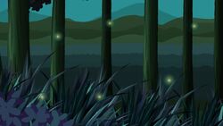 I WONDER - How Do Nocturnal Animals Communicate? Instructional Video