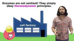 Metabolism and ATP Instructional Video