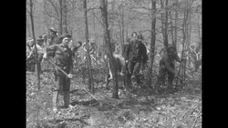 Conservation camp chopping down trees News Clip