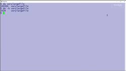 How to use the du command: 2-Minute Linux Tips Instructional Video