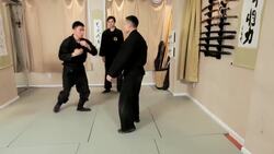 Advanced Technique in Ninjutsu Instructional Video