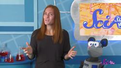 How Animals Find Their Way Home! Instructional Video