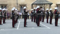 Princess Anne at Falklands War veterans event News Clip
