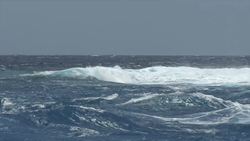 Biosphere Instructional Video