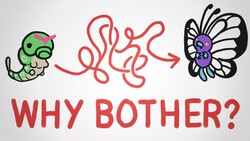 Why Do Butterflies Bother Being Caterpillars? Instructional Video